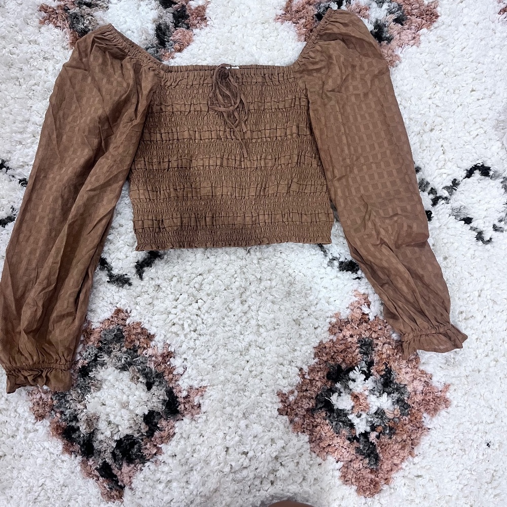 American eagle brown crop top